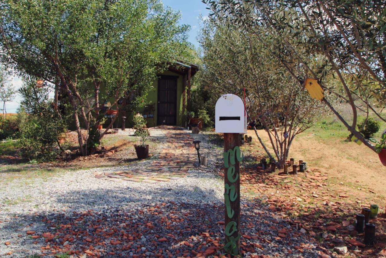 Posada San Antonio Valle de Guadalupe Zewnętrze zdjęcie